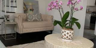 9006 LINTON Street Gallery 4