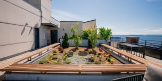 The Goodwin Gallery 37