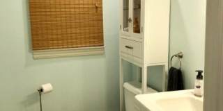 14 Chadwick Pl Gallery 42