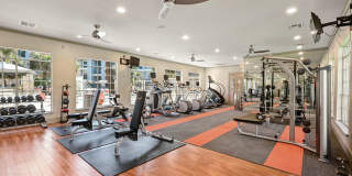 City Park in the Heights Gallery 17