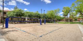 San Palacio by Mark-Taylor Gallery 24