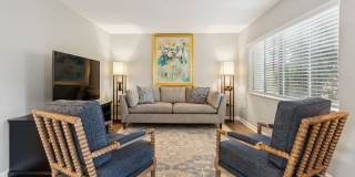 Buena Vista Gallery 21