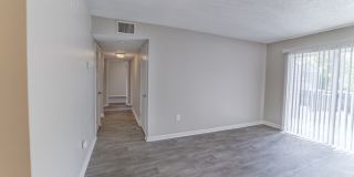 Summer Chase Gallery 22