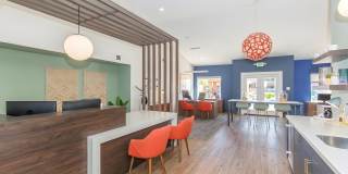 Morrison in Mesa Gallery 7