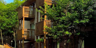 Southwood Gardens Gallery 1