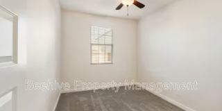 2927 N Augustine 2927 N Augustine Gallery 17