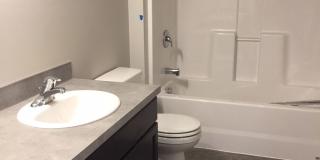 Spacious 3 & 4 Bedroom Apartments Near WWU + Downtown Gallery 58
