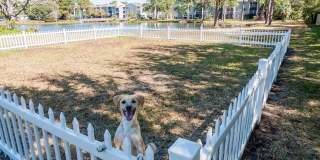 Promenade at Edgewater Gallery 17