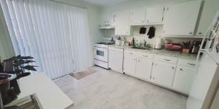 11 Elmwood Street Gallery 2