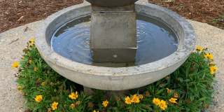 832 Georgia St Gallery 6