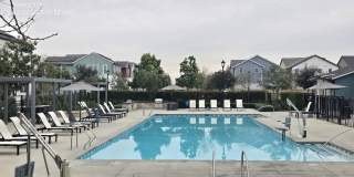 2456 E Encanto Paseo Gallery 23