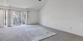 204 Dublin Lane Gallery 7