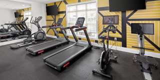 The Bellamy Gallery 3