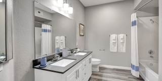 Broadleaf Apartments Gallery 11