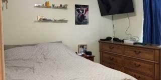 933 CRESTED POINT Drive Gallery 8