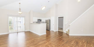 The Rothbury Gallery 93
