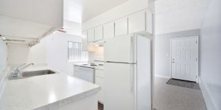 The Canopy Gallery 4