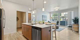 Meritum Evergreen Gallery 2