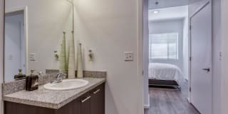 Agave 350 Gallery 14