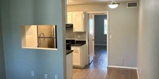 Ashford Apartments Gallery 7