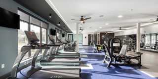 The Ascent at Top of the Hill Gallery 7