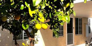 Single Family. 3-bed Home - Desireable Neighborhood! Gallery 60
