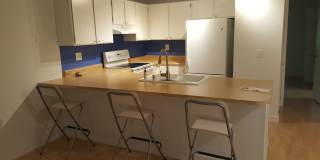 Lovely 1bd. Ground-Level Condo in Cotati Gallery 13