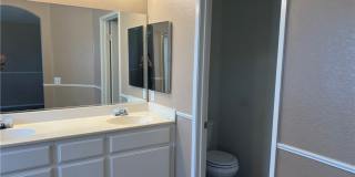 15177 Dandelion Gallery 22