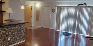 First Floor Unit - Northeast Gallery 7