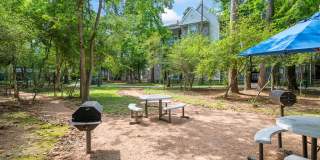 Forest View Gallery 14