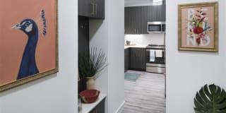 Mysa at The Crossing Gallery 7