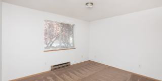 Cedar Park 8 Gallery 18