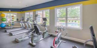 Aventura RTP Gallery 21