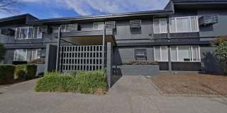 University Manor - Newly Renovated Units just a short walk from Campus! Gallery 1