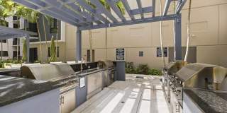 Berkshire Coral Gables Gallery 11
