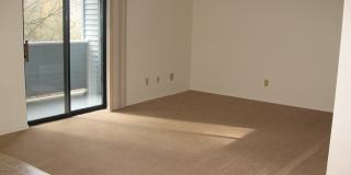 Barrington Place Gallery 1