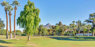 Rates Vary: $2,995 - $4,995 Gallery 20