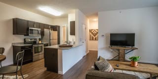 Antler View Gallery 18