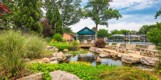 Acclaim at Carriage Hill - 55+ Active Adult Apartment Homes Acclaim at Carriage Hill - 55+ Active Adult Apartment Homes Gallery 6