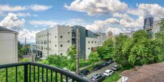 Terrace View Gallery 2