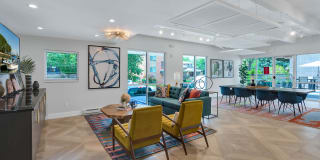 Liv on Steele Gallery 21