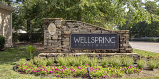 Wellspring Wellspring Gallery 30