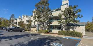 1420 Bel Air Dr Apt 207 Gallery 1