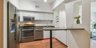 2440 W HORATIO STREET Gallery 3
