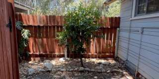 Charming Claremont Village Cottage – Small but Mighty! Gallery 1
