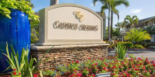 Cadence Crossing Cadence Crossing Gallery 29