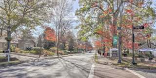 529 Warm Springs Circle Gallery 23