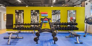 The Access Gallery 10