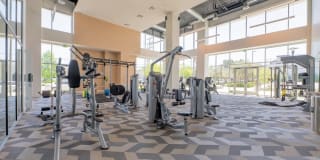 Essence Essence Gallery 18