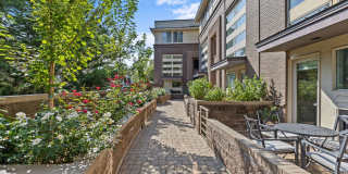 Nestled in the heart of Charlotte’s iconic Myers Park, this sophisticated 10-unit gated condo on Queens Road offers modern elegance & urban convenience Gallery 6